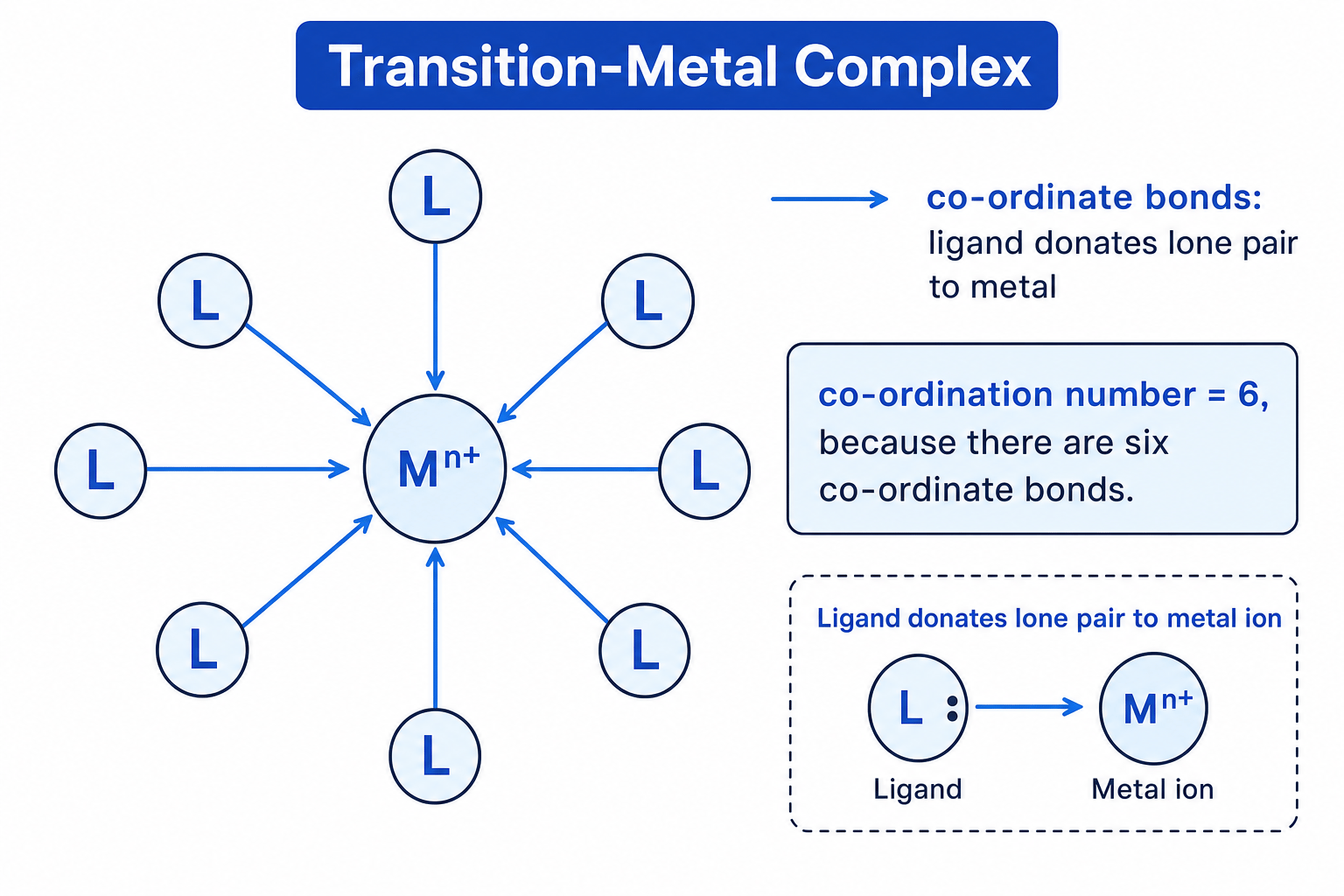 Diagram of an octahedral transition-metal complex showing six ligands donating lone pairs to a central metal ion