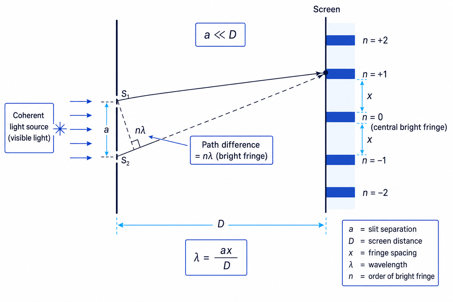 Young double-slit geometry showing slit separation, screen distance, fringe spacing and path difference