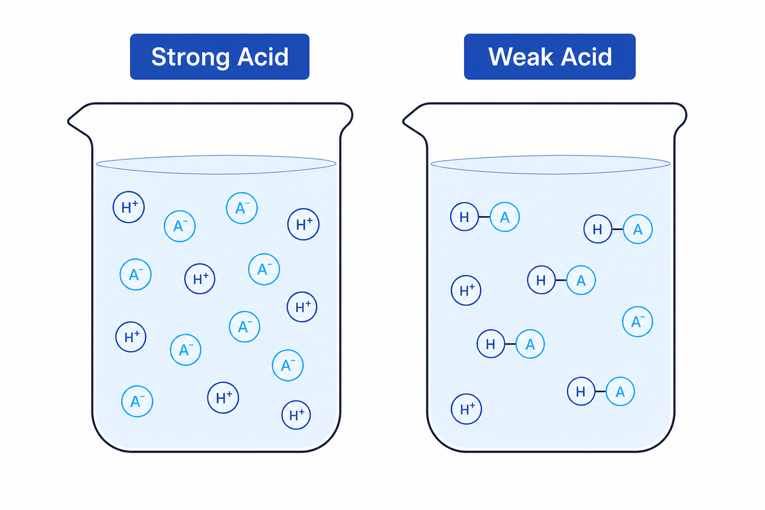 Strong vs weak acid ionisation
