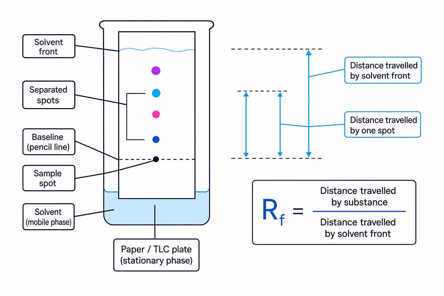 Labelled chromatography diagram showing baseline, solvent front, stationary phase, mobile phase and Rf distances