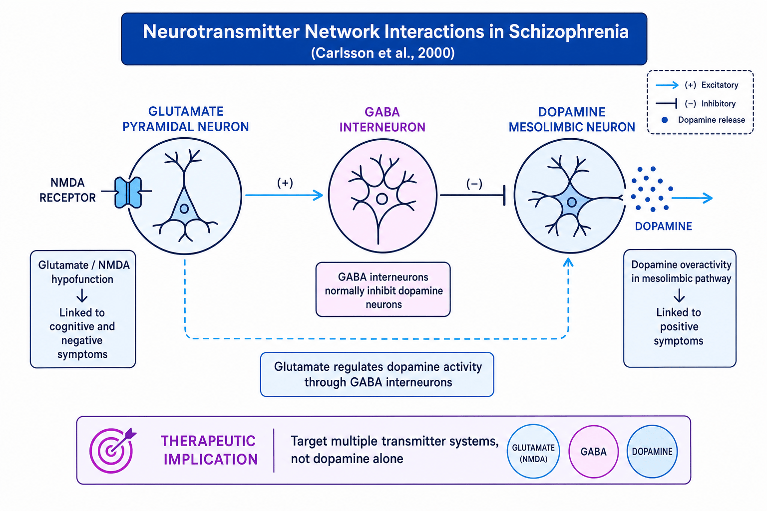 Schematic of dopamine, glutamate and GABA network interactions in Carlsson et al.