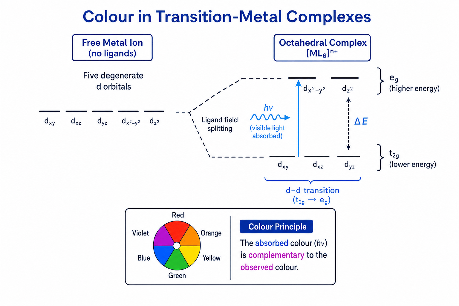 d-orbital splitting and colour in a transition-metal complex