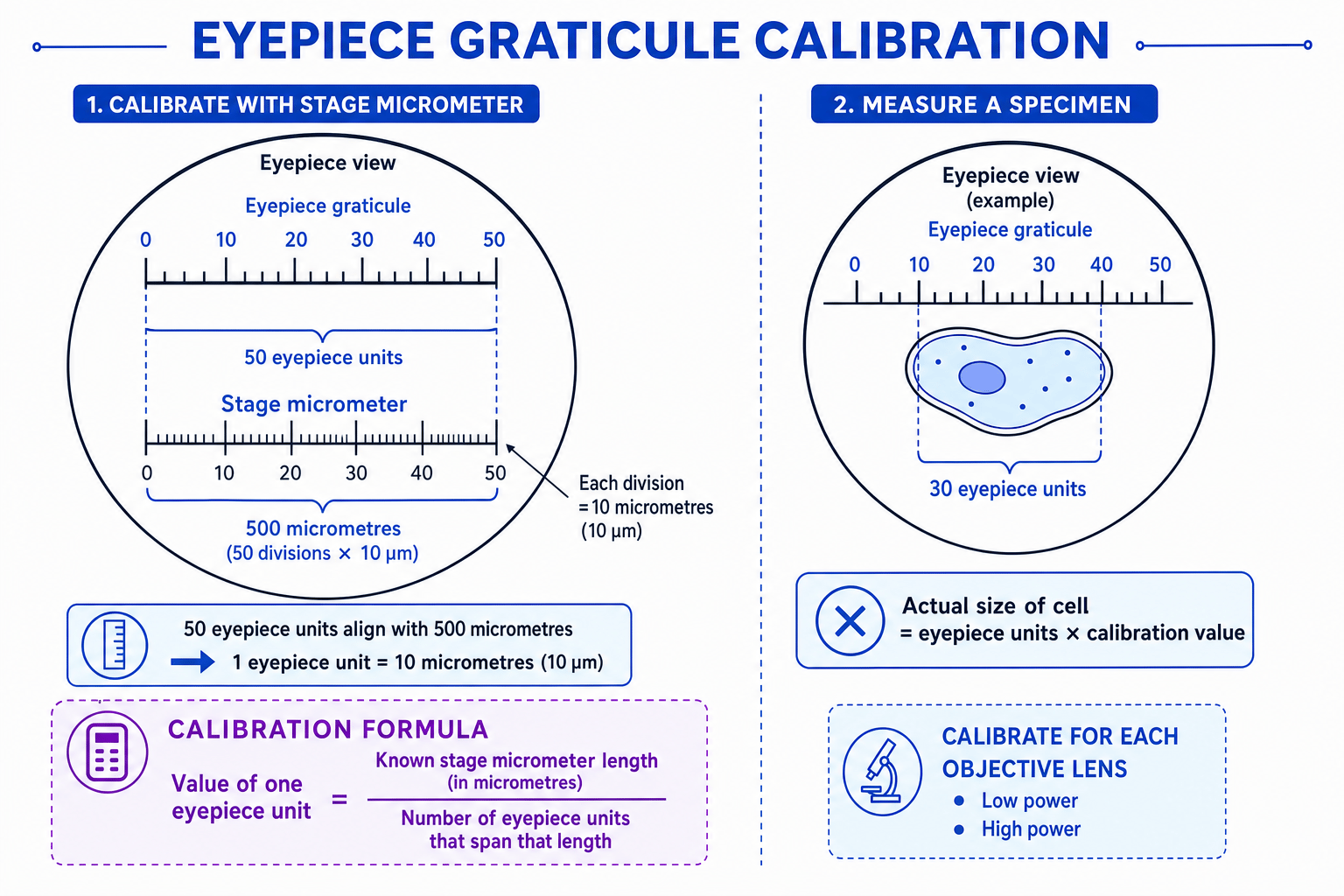 Microscope eyepiece graticule calibration