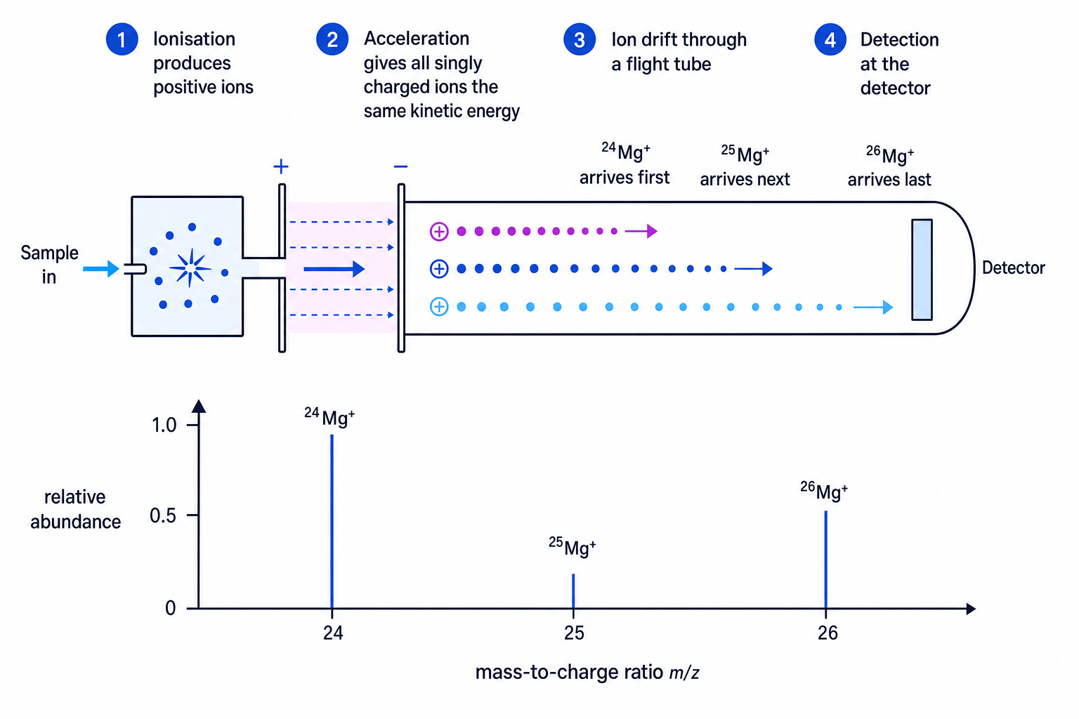 Simple time of flight mass spectrometer and magnesium mass spectrum