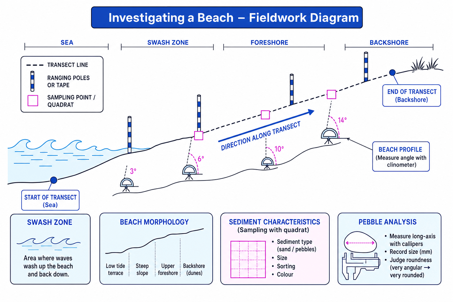 Labelled coastal fieldwork diagram showing a beach transect, beach profile measurements and sediment sampling