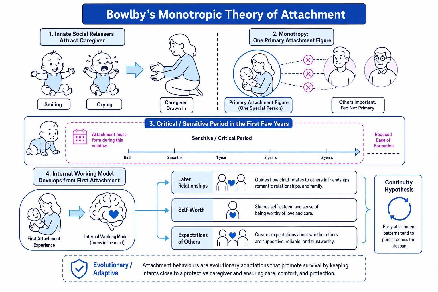 Schematic of Bowlby's monotropic theory, showing social releasers, critical period and internal working model