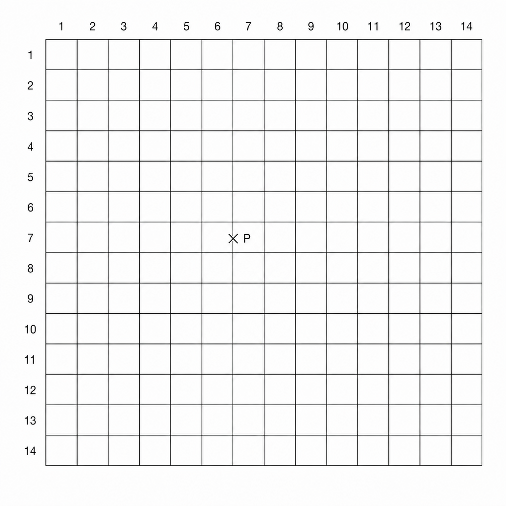 A 14x14 grid with a point P marked by an X near the center.