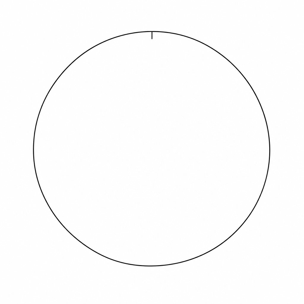 A blank circle for drawing a pie chart.