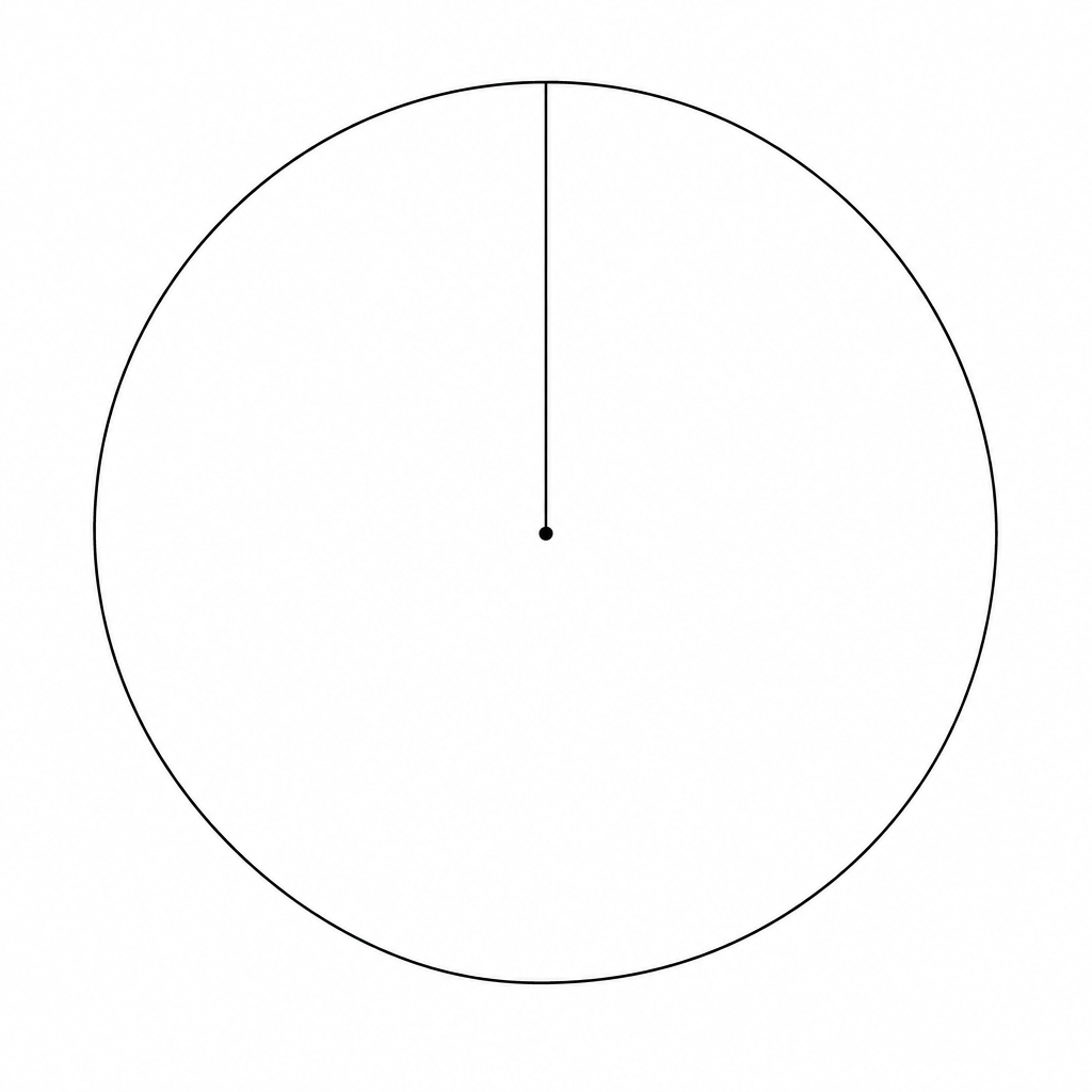 A large circle for drawing a pie chart.