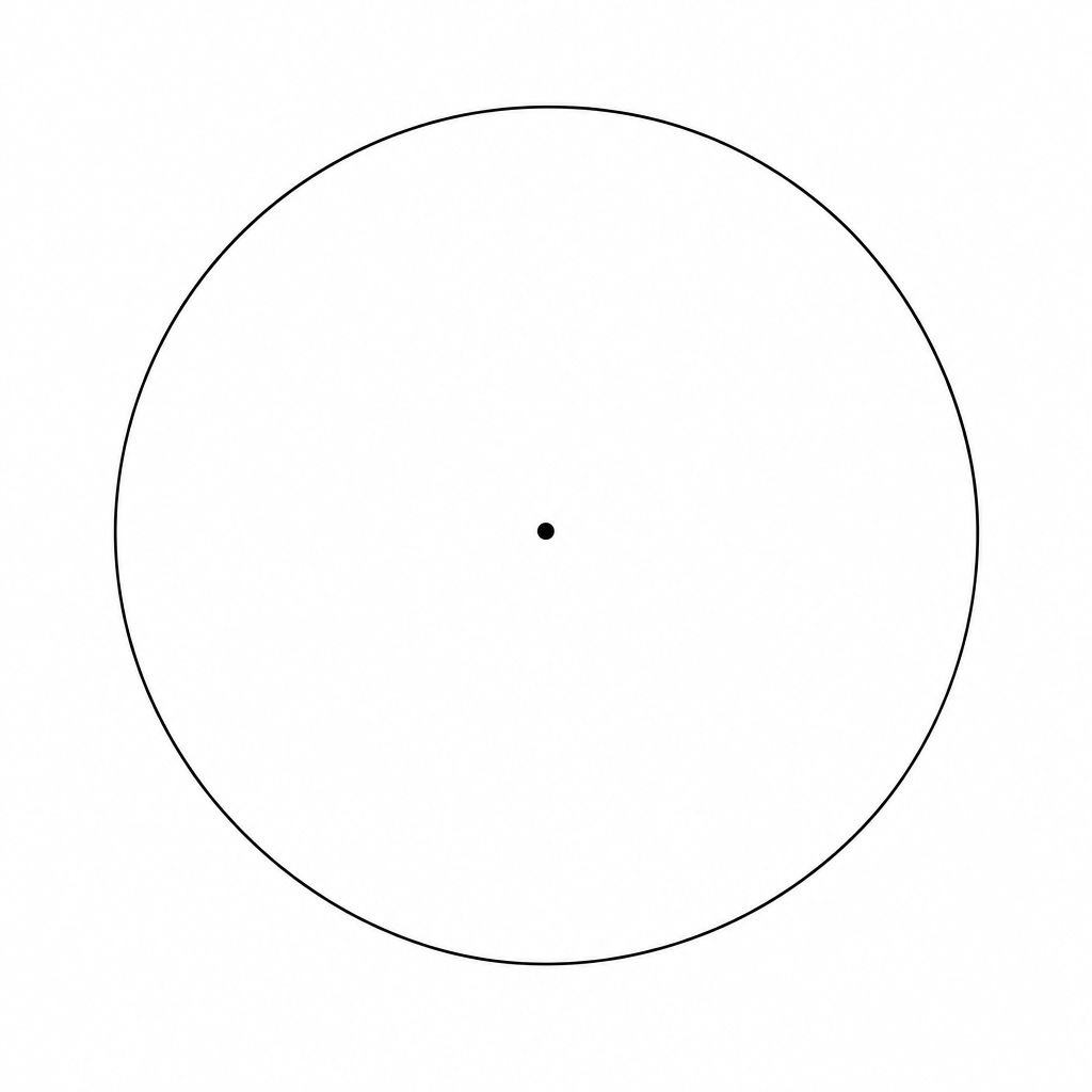 A blank circle for drawing a pie chart.