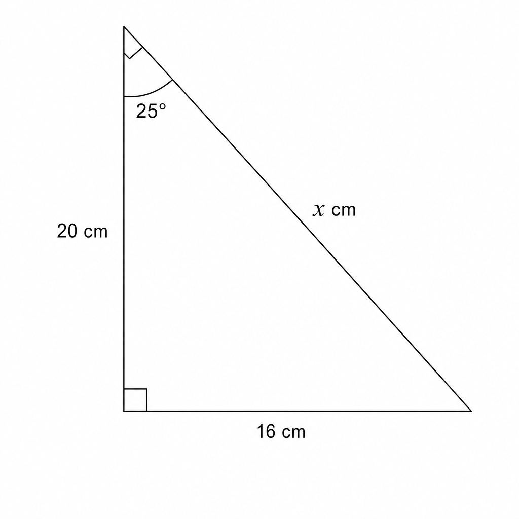 A right-angled triangle with a horizontal base of 16 cm, a vertical height of 20 cm, and a hypotenuse of x cm. The angle at the top vertex is 25 degrees. Right-angle symbols are shown at the base and the top vertex.
