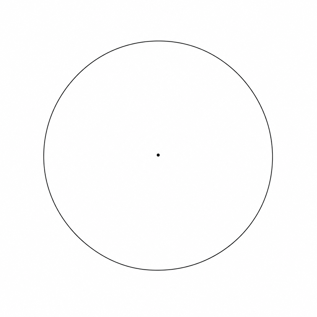 A large circle for drawing a pie chart.