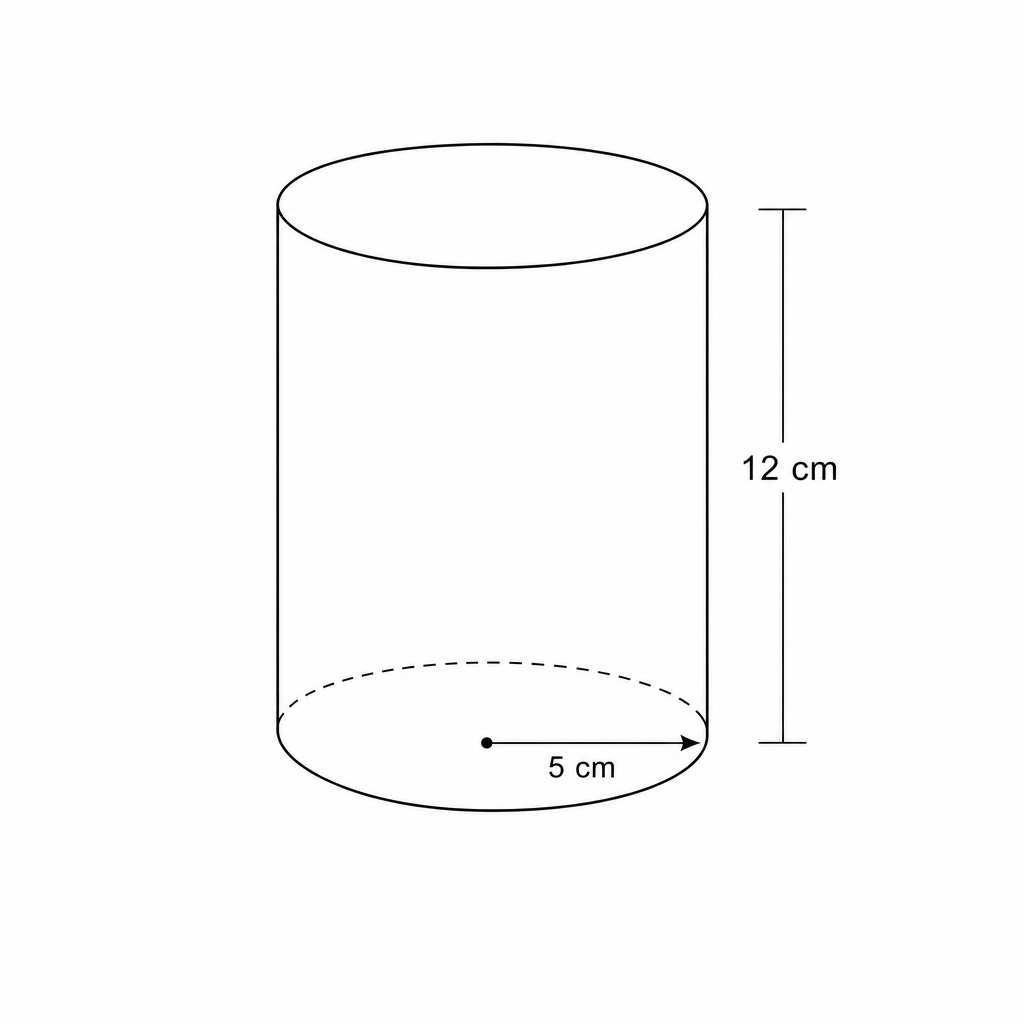 Diagram of a cylinder with radius 5 cm and height 12 cm.