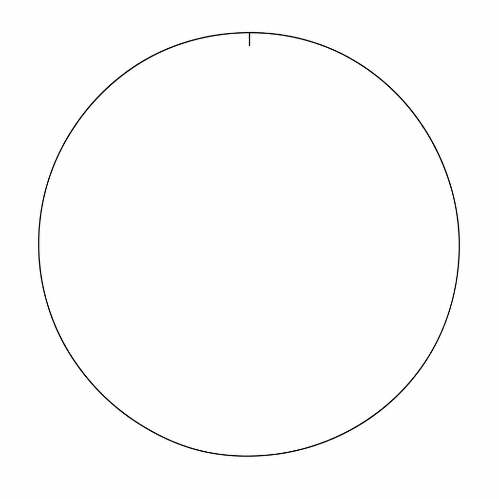 A blank circle for drawing a pie chart.
