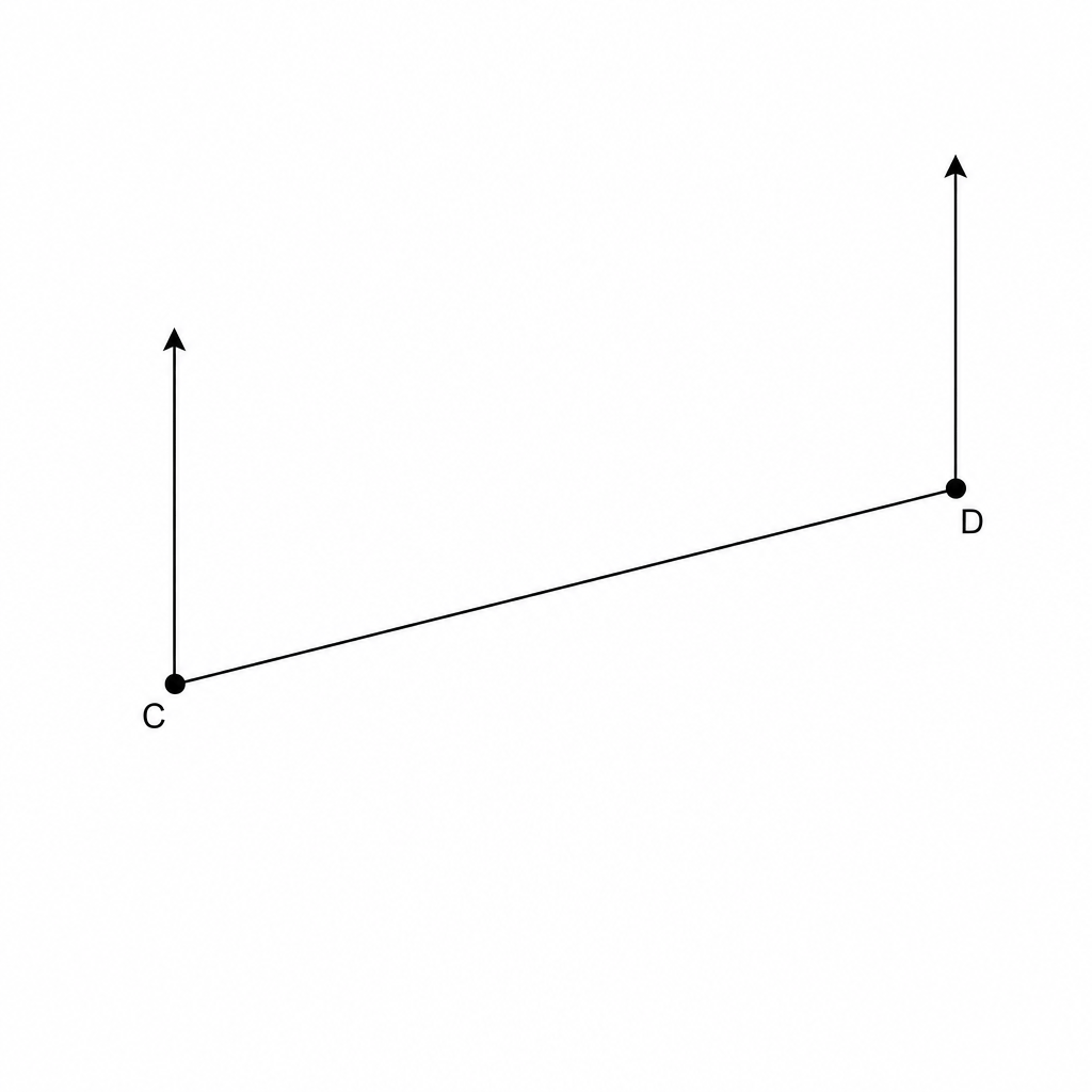 Diagram showing two locations, C\, and D.