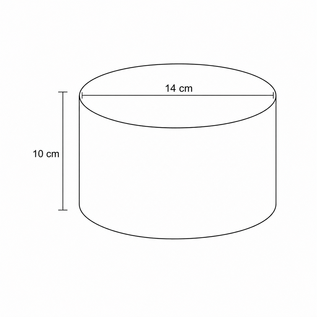 Diagram of a cylinder with diameter 14 cm and height 10 cm.