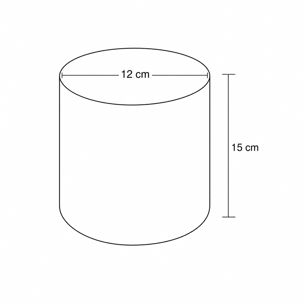 Diagram of a cylinder with diameter 12 cm and height 15 cm.