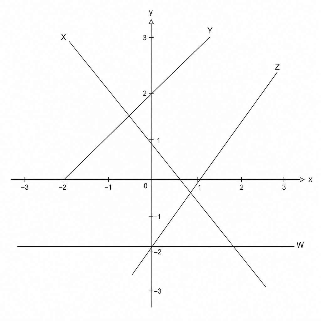 A graph showing four straight lines labeled W, X, Y, and Z on a coordinate grid.