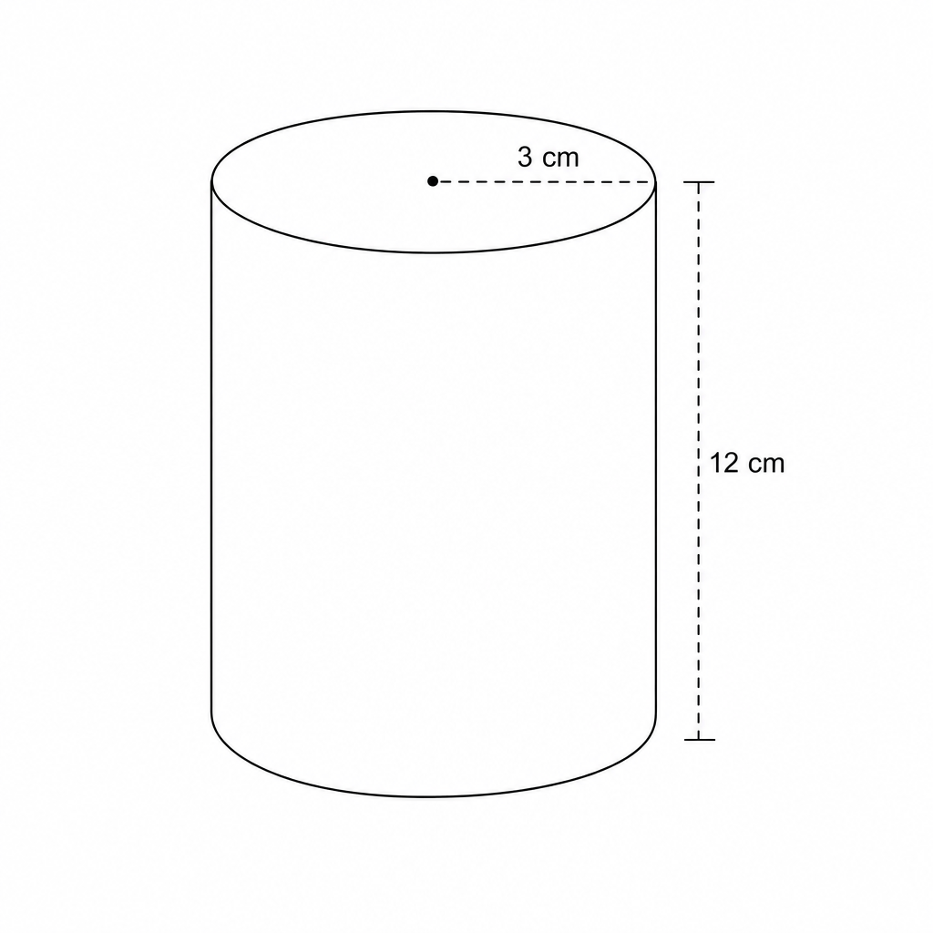 Diagram of a solid cylinder with radius 3 cm and height 12 cm.
