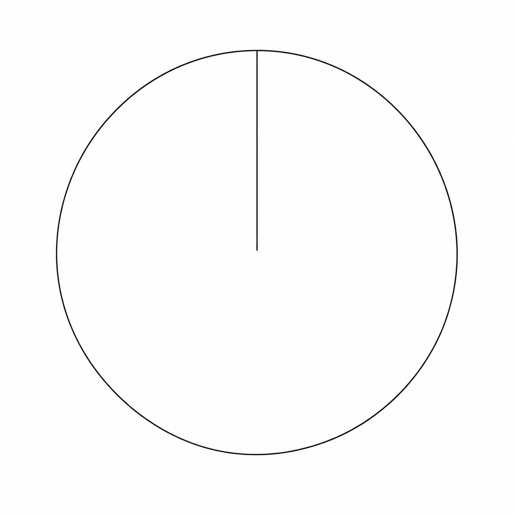 A large circle for drawing a pie chart.