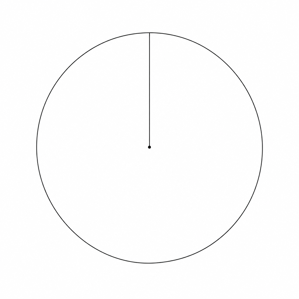A blank circle for drawing a pie chart.