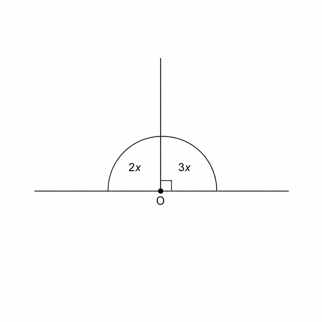 A diagram showing angles 2x, 3x and a right angle around a point.