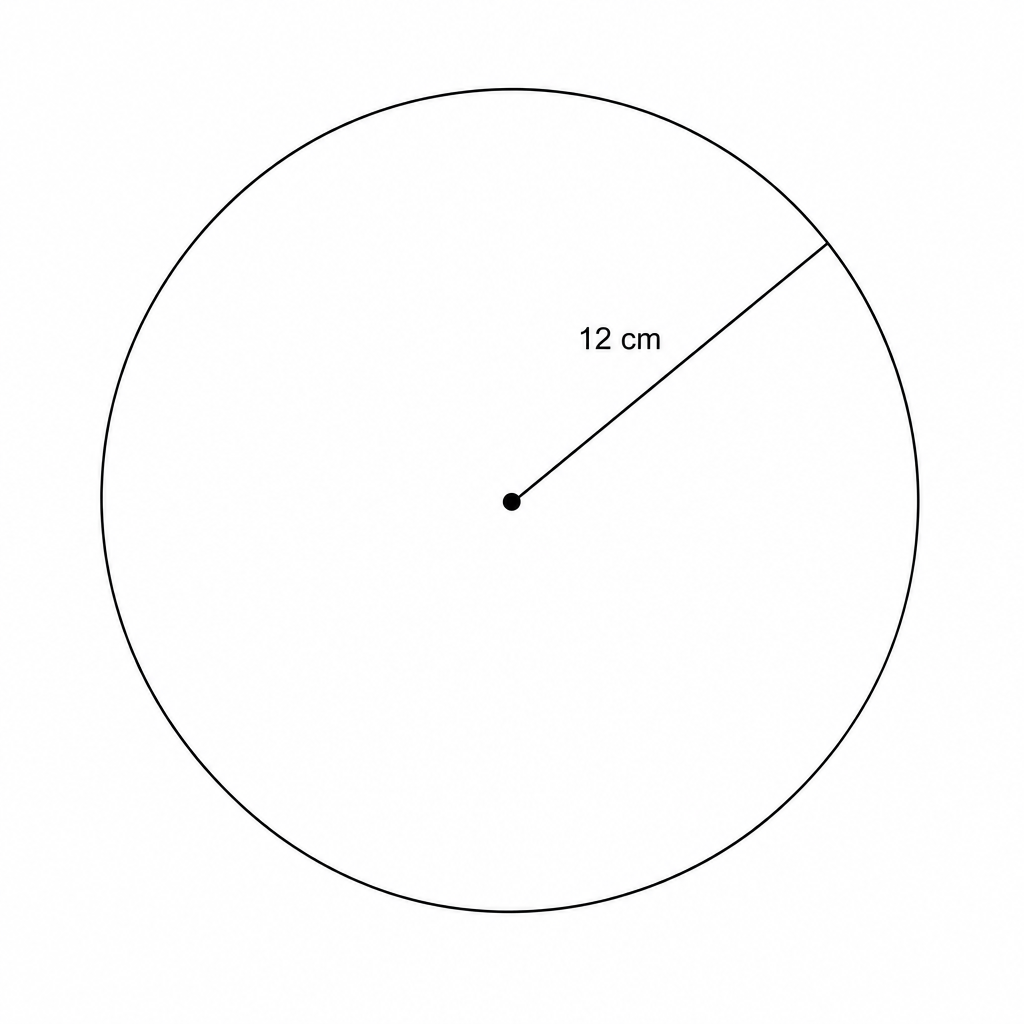 A circle with a radius of 12 cm.