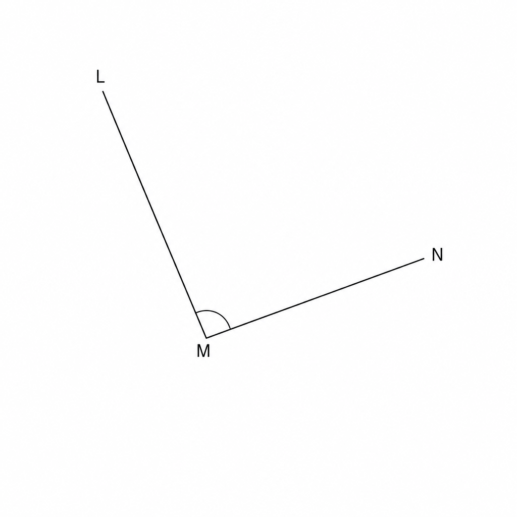 Angle LMN for construction.
