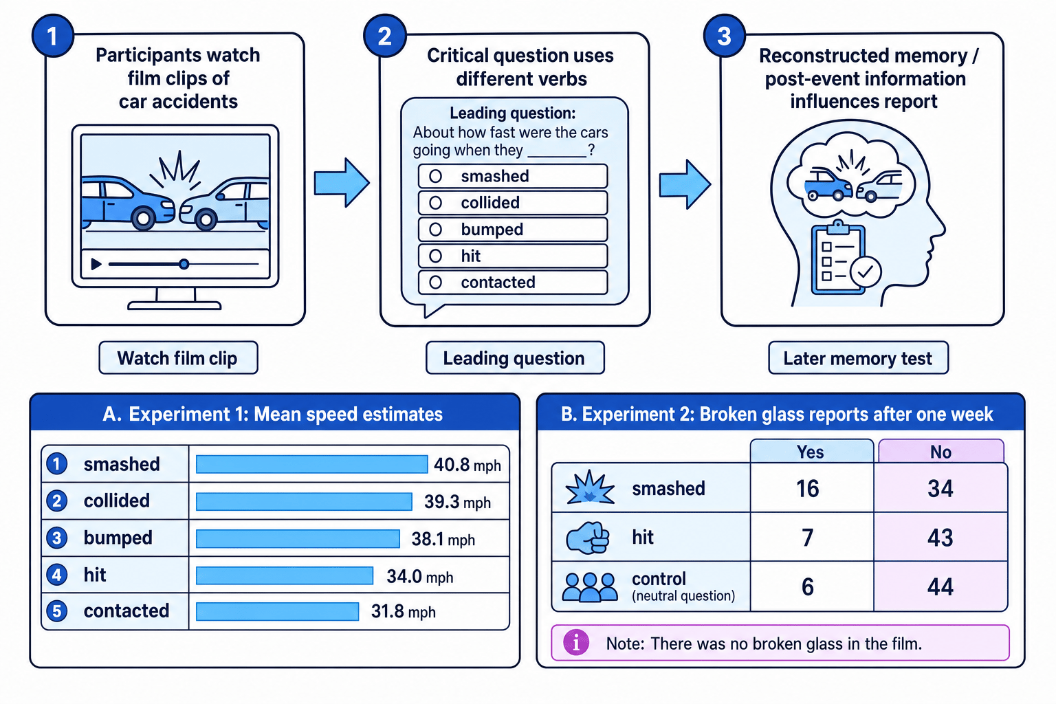 Flowchart of Loftus and Palmer experiments showing accident films, different verbs in leading questions, higher speed estimates, and later false reports of broken glass