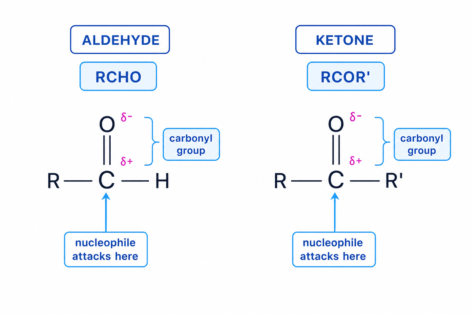 Comparison of aldehyde and ketone structures with the carbonyl group, partial charges, and nucleophile attack site labelled