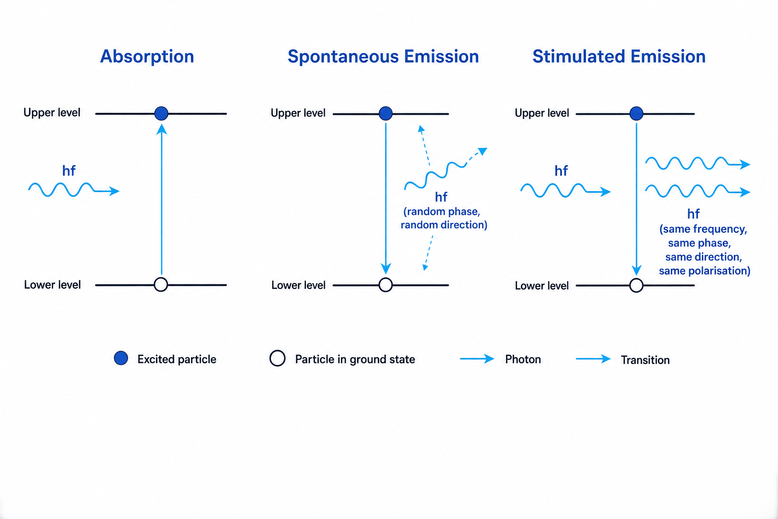 Energy-level comparison of absorption, spontaneous emission, and stimulated emission showing identical outgoing photons in the stimulated case