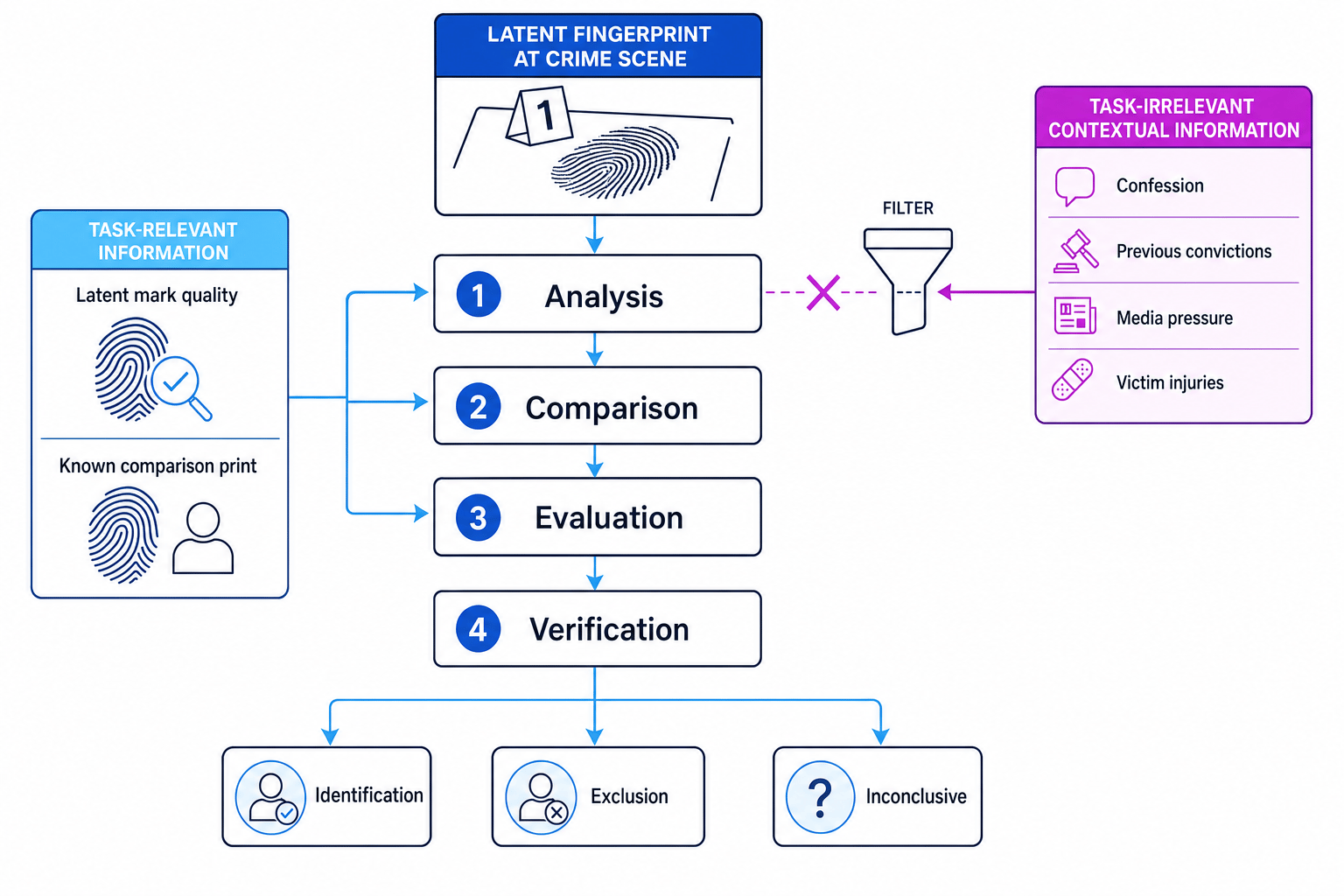 Flowchart of ACE-V fingerprint processing with task-relevant information entering and task-irrelevant contextual information filtered out