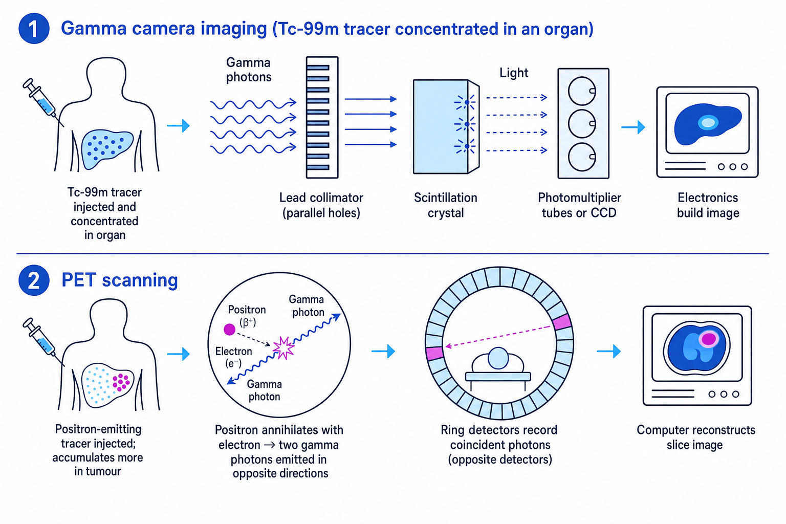 Gamma camera and PET scanning schematic