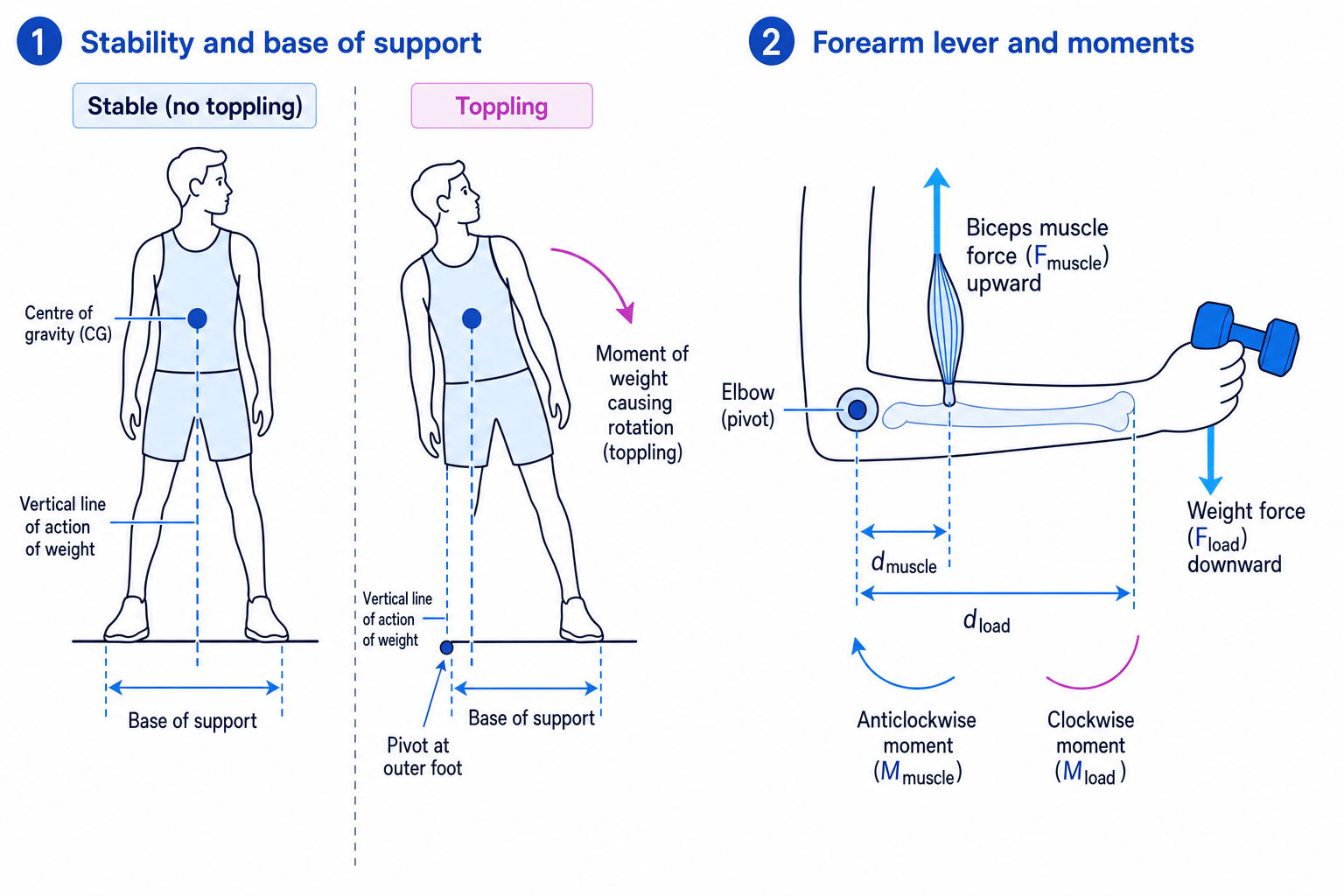 Stability, toppling and forearm moments in sports