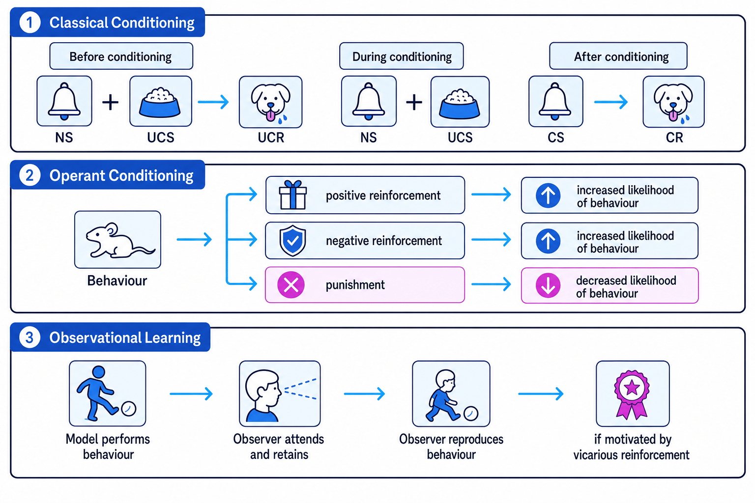 Flow diagram of classical conditioning, operant conditioning and observational learning