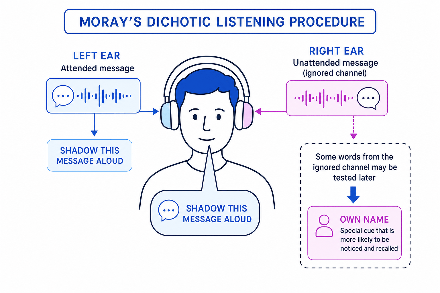 A labelled schematic of Moray's dichotic listening procedure showing attended and unattended messages through headphones