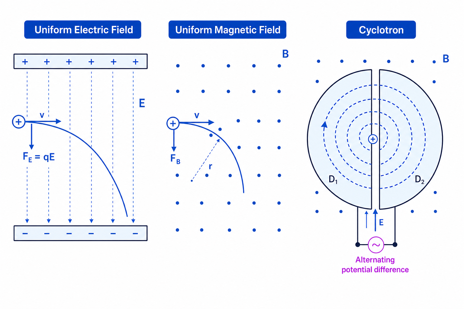 Ion beam deflection in electric and magnetic fields and motion in a cyclotron