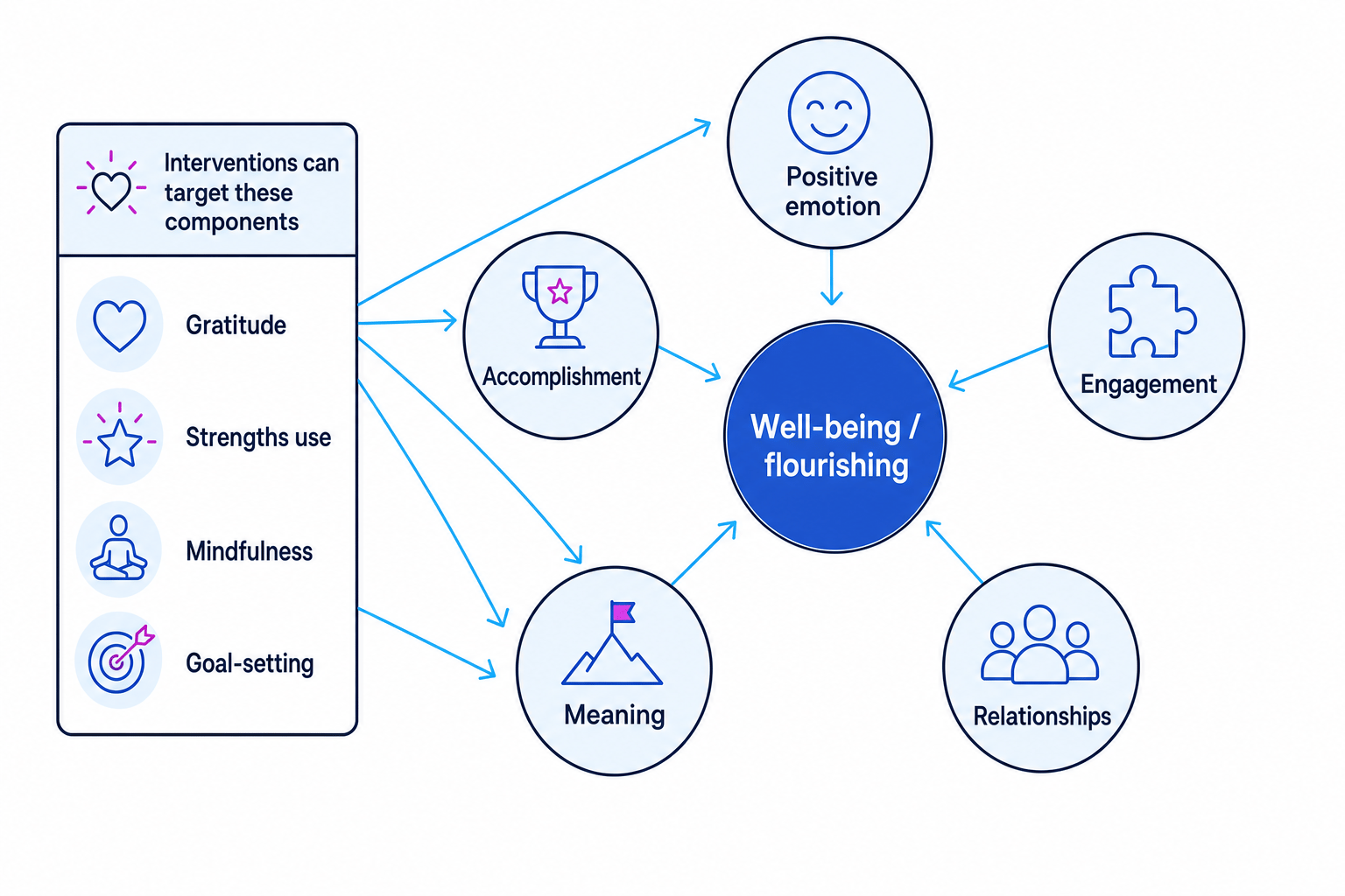 PERMA model showing positive emotion, engagement, relationships, meaning and accomplishment leading to wellbeing and flourishing