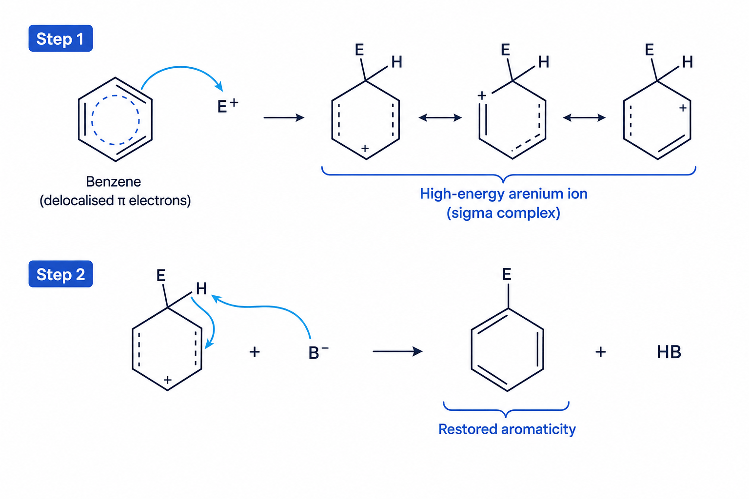General electrophilic substitution mechanism of benzene
