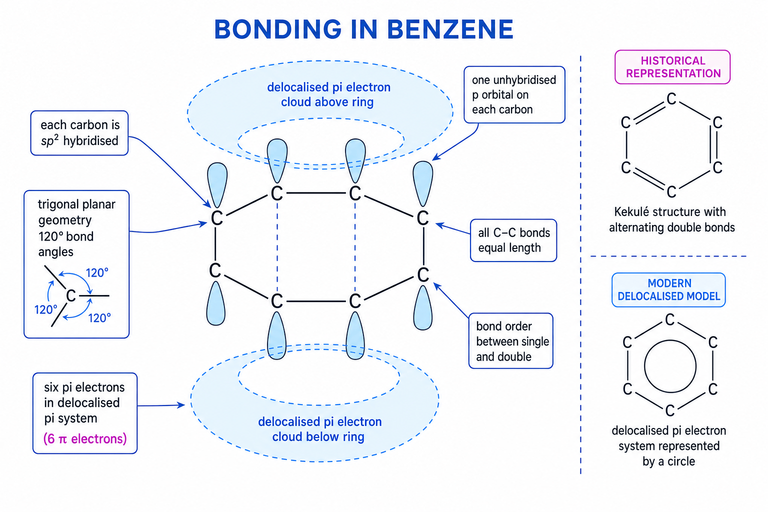 Bonding in benzene showing sp2 carbons and a delocalised pi electron system