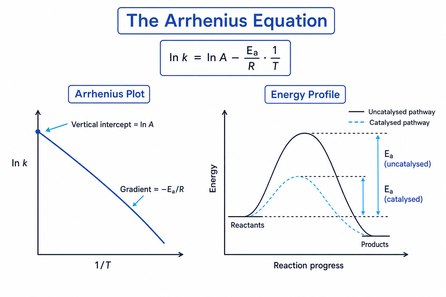 Arrhenius plot showing gradient and intercept, alongside an energy profile comparing catalysed and uncatalysed pathways