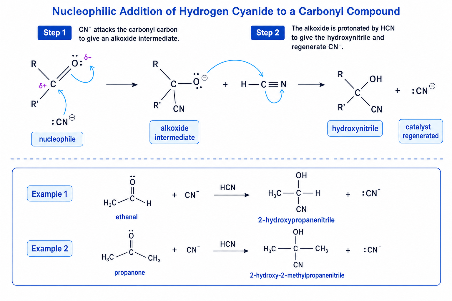Curly-arrow mechanism for nucleophilic addition of hydrogen cyanide to aldehydes and ketones