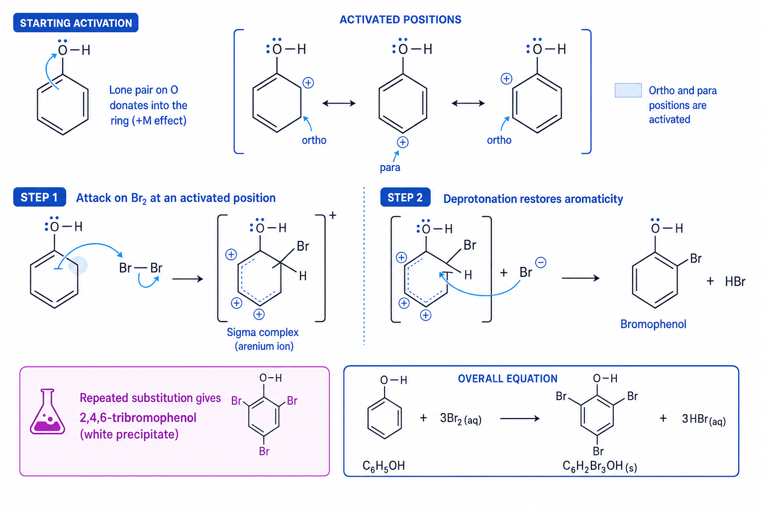 Curly-arrow mechanism for bromination of phenol