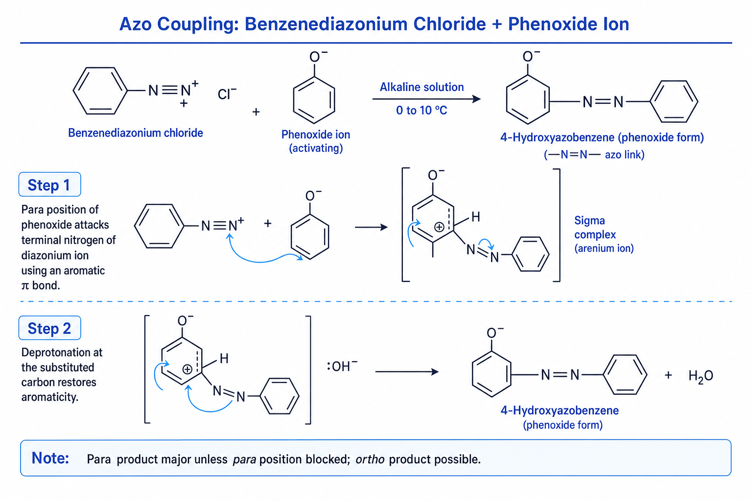 Azo coupling mechanism between benzenediazonium chloride and phenoxide ion