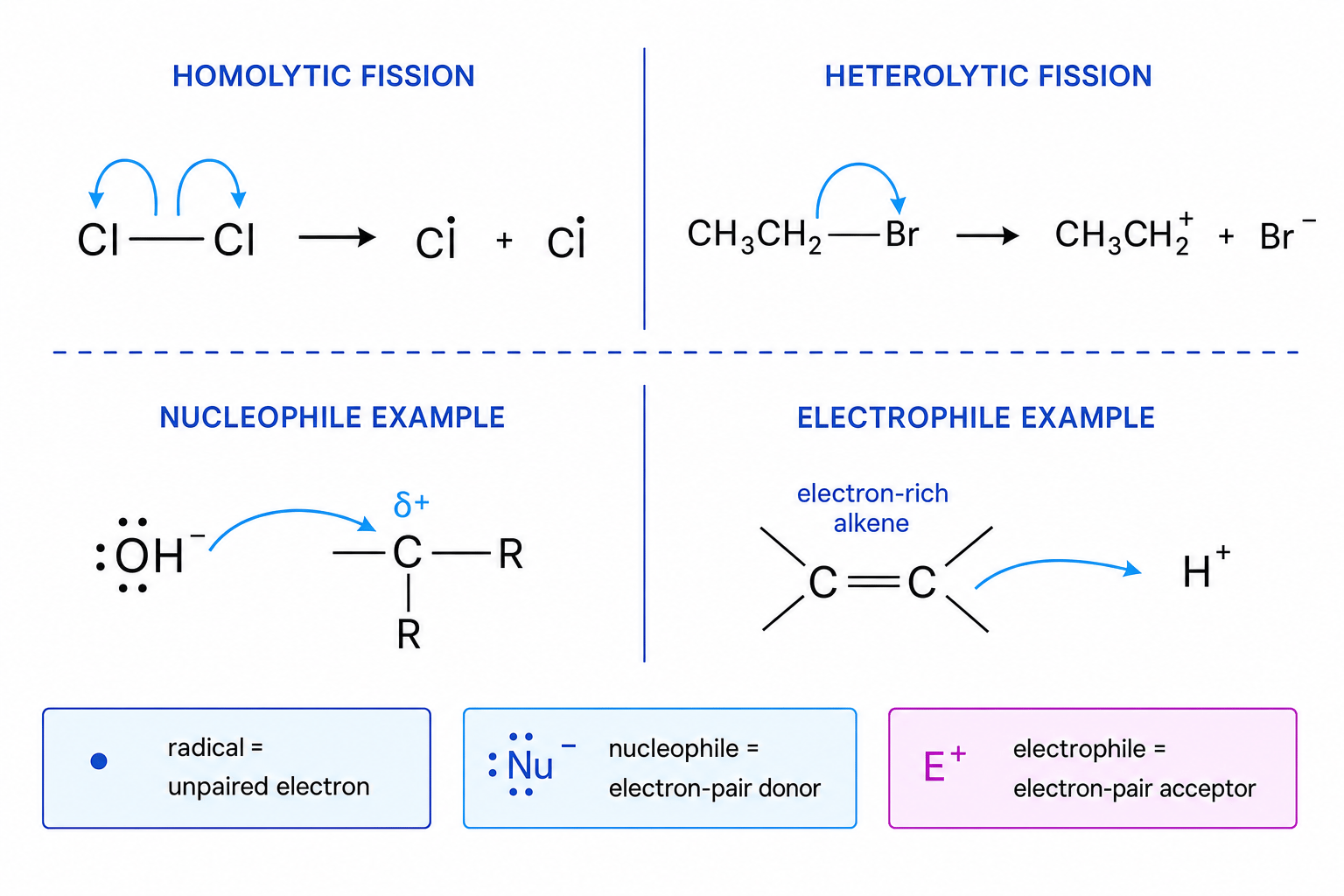 Homolytic fission, heterolytic fission, nucleophiles and electrophiles