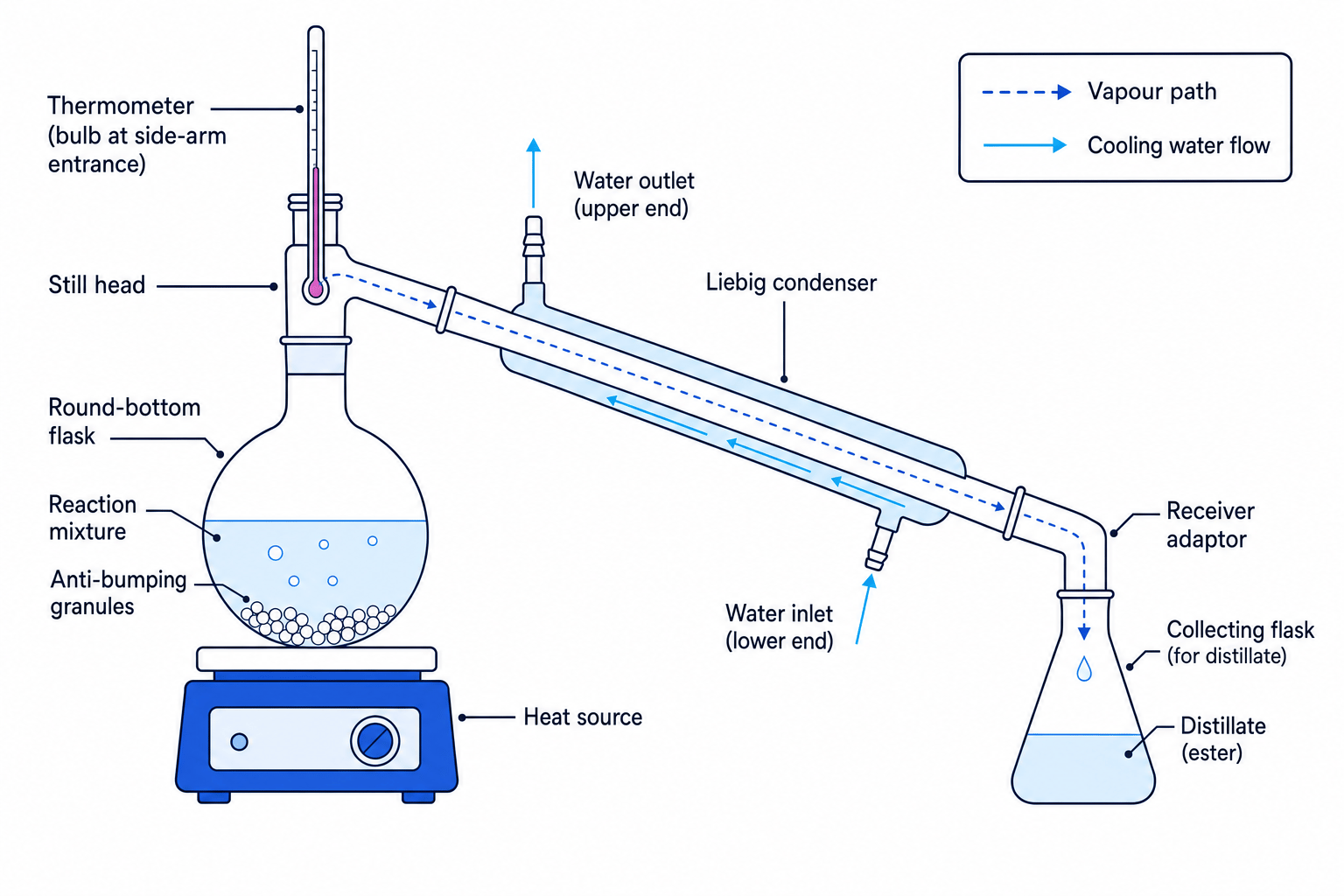 Simple distillation apparatus for ester separation