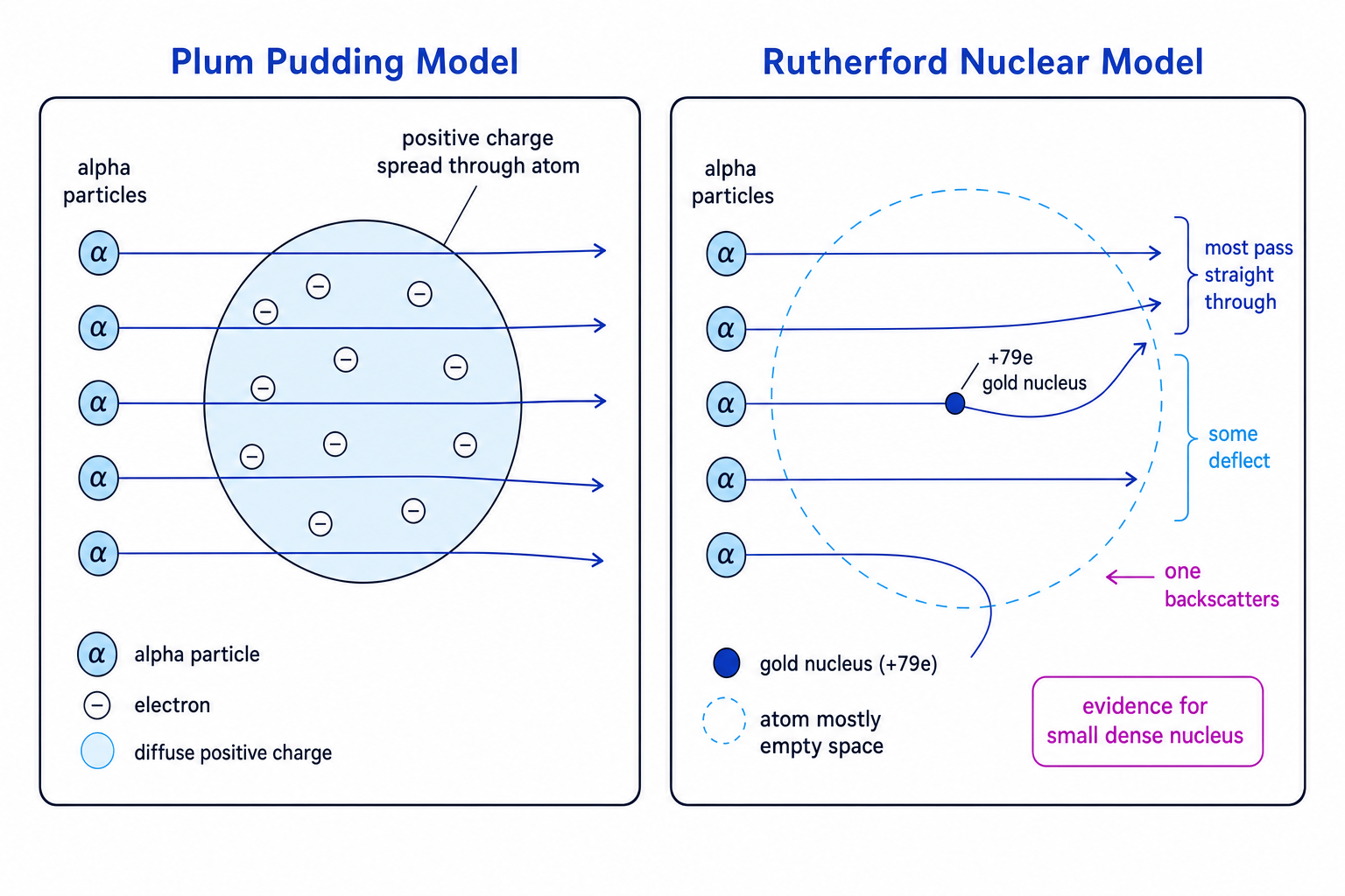 Comparison of alpha scattering in the plum pudding and Rutherford nuclear models