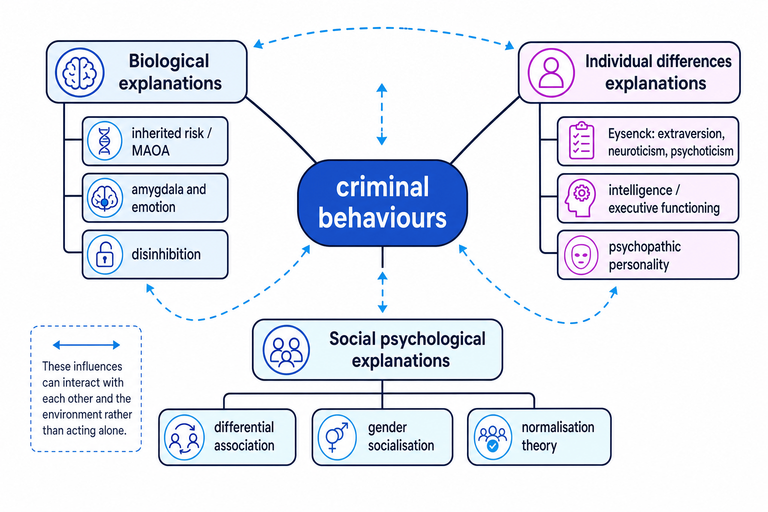 Concept map showing biological, individual differences, and social psychological explanations of criminal behaviours
