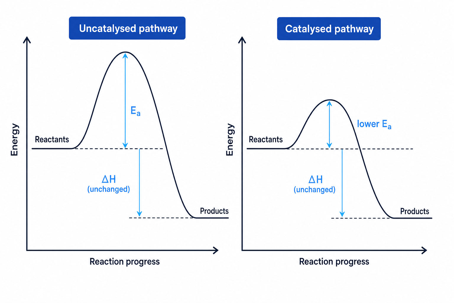 Energy profile diagrams comparing uncatalysed and catalysed pathways