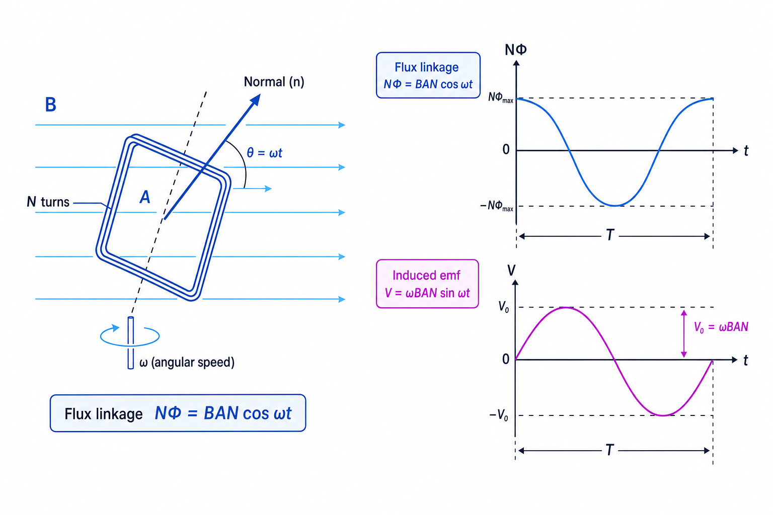 Rotating coil in a magnetic field showing flux linkage as a cosine wave and induced emf as a sine wave
